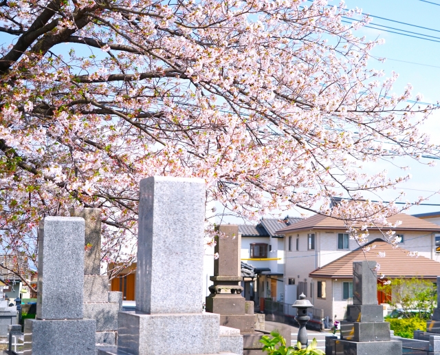 神奈川エリアでおすすめの墓じまい代行業者を一挙に紹介！